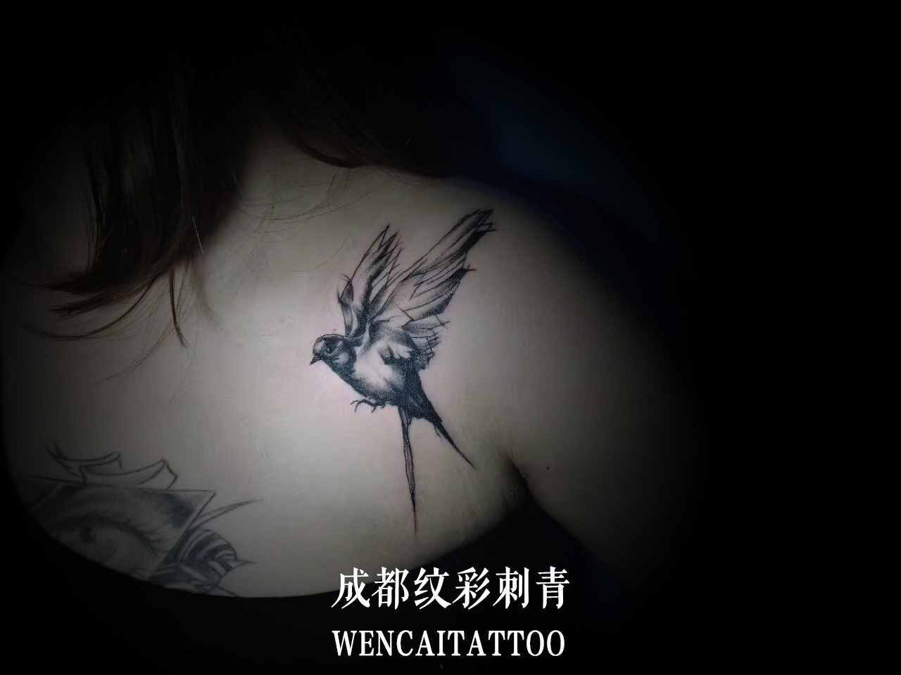 吕小姐锁骨个性的飞鸟纹身图案