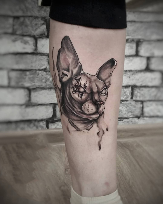 季先生小腿斯芬克斯猫纹身图案